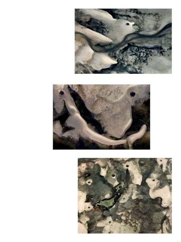 Rencontres de Bamako, 13th African Biennale of Photography — catalogue, pp. 216–217, page 2