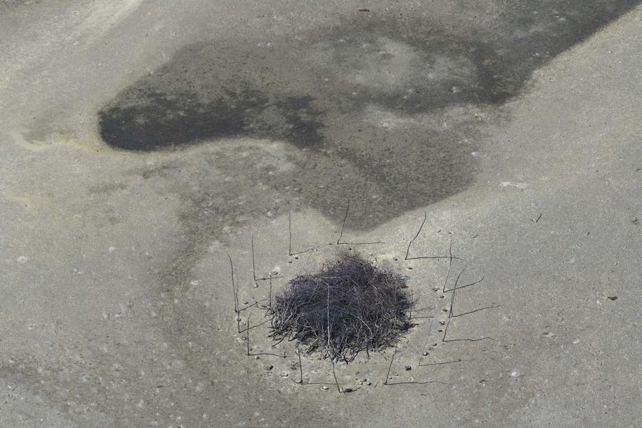 Coroas — SESC Nova Iguaçu, RJ, 2024